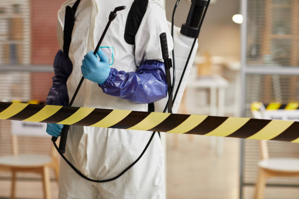 Professional Sewage Cleanup technician working in Everett, MA